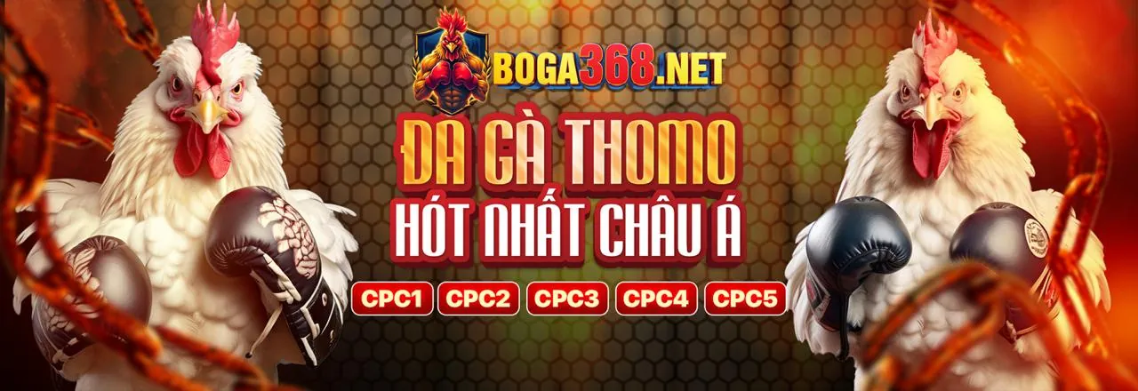 Hướng dẫn cá cược thể thao 88vin cho người mới bắt đầu